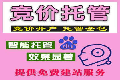 SEM服务优势案例分享
